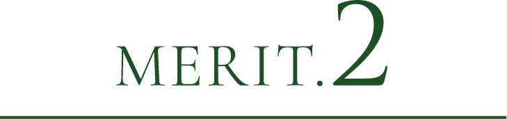 MERIT.2