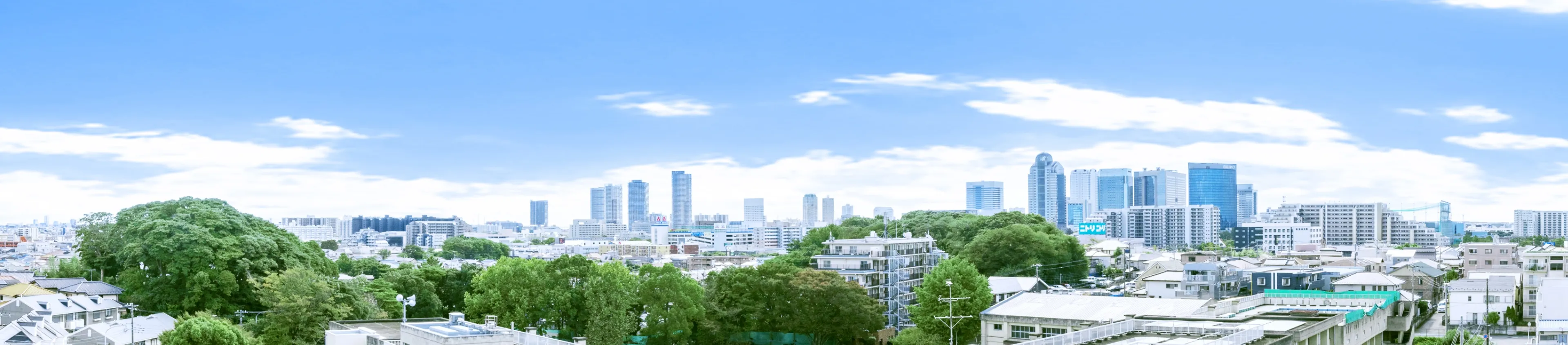 現地眺望写真（7階相当）