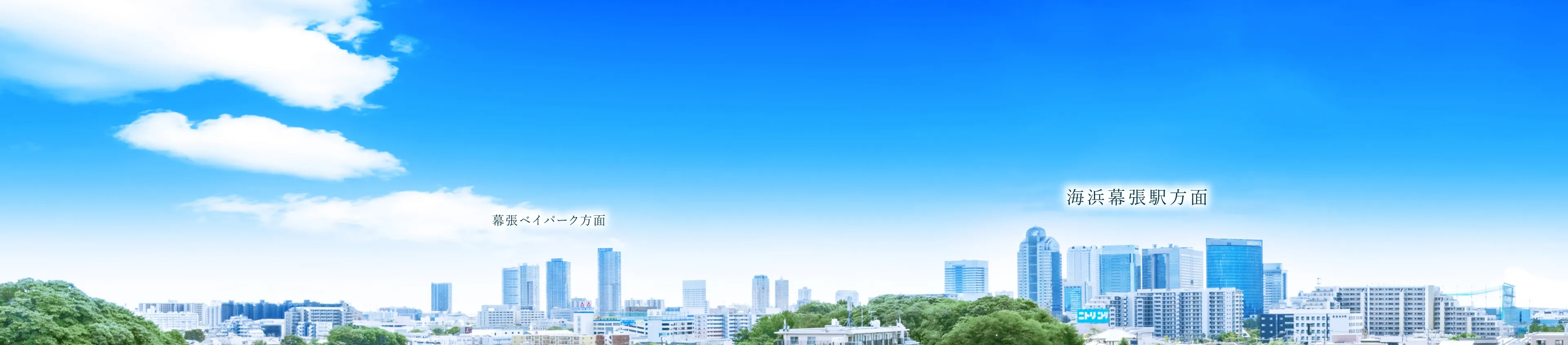 現地眺望写真（7階相当）